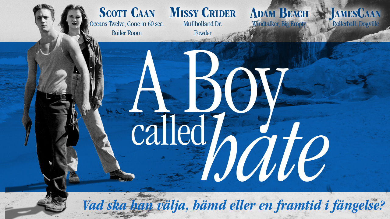 A Boy Called Hate